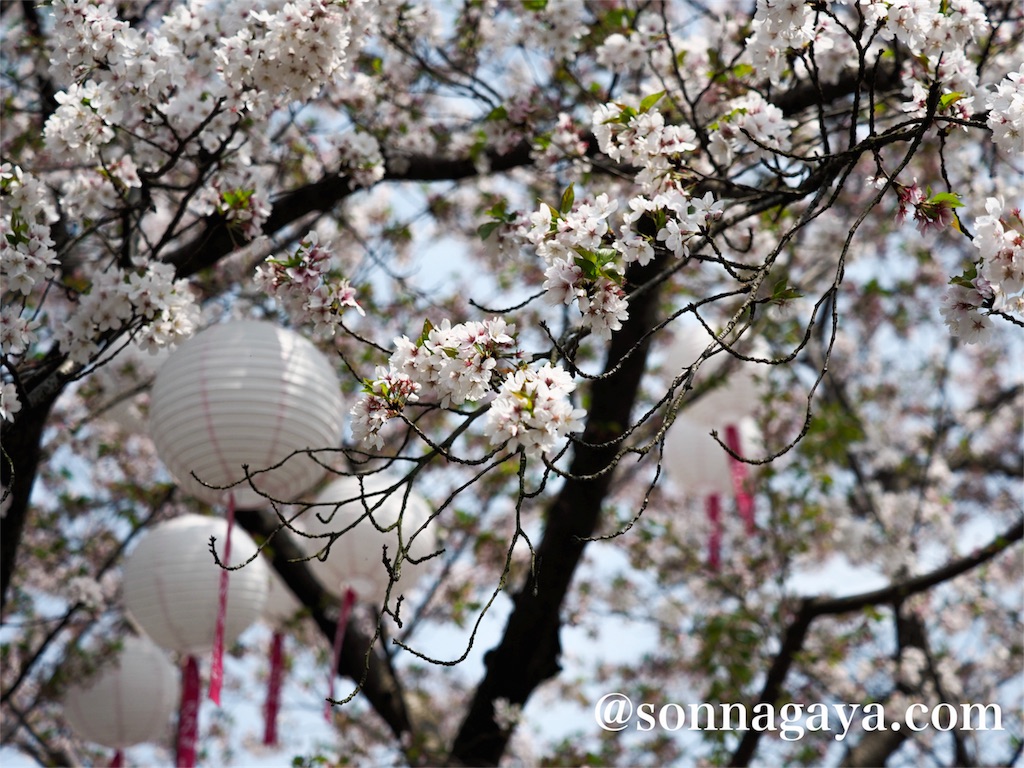 f:id:shan1tian2:20180403124731j:image