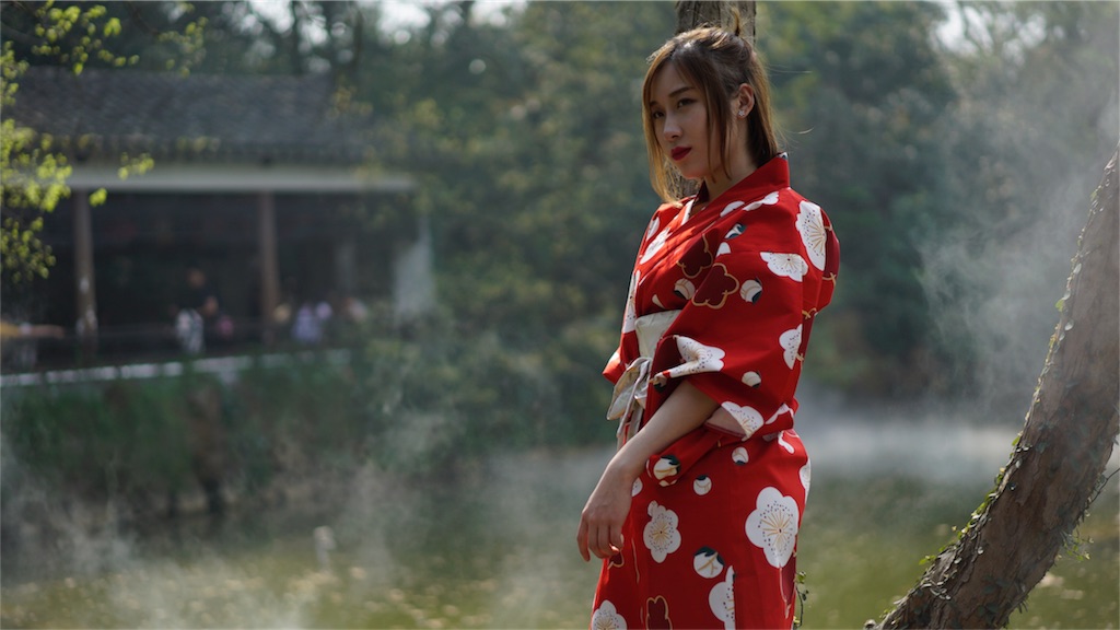 f:id:shan1tian2:20180403124927j:image