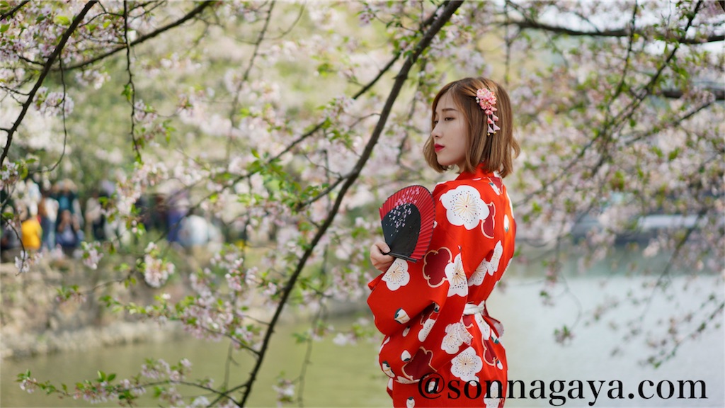 f:id:shan1tian2:20180403125058j:image