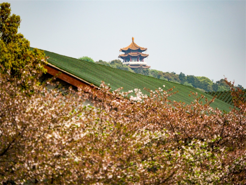f:id:shan1tian2:20180403125407j:image