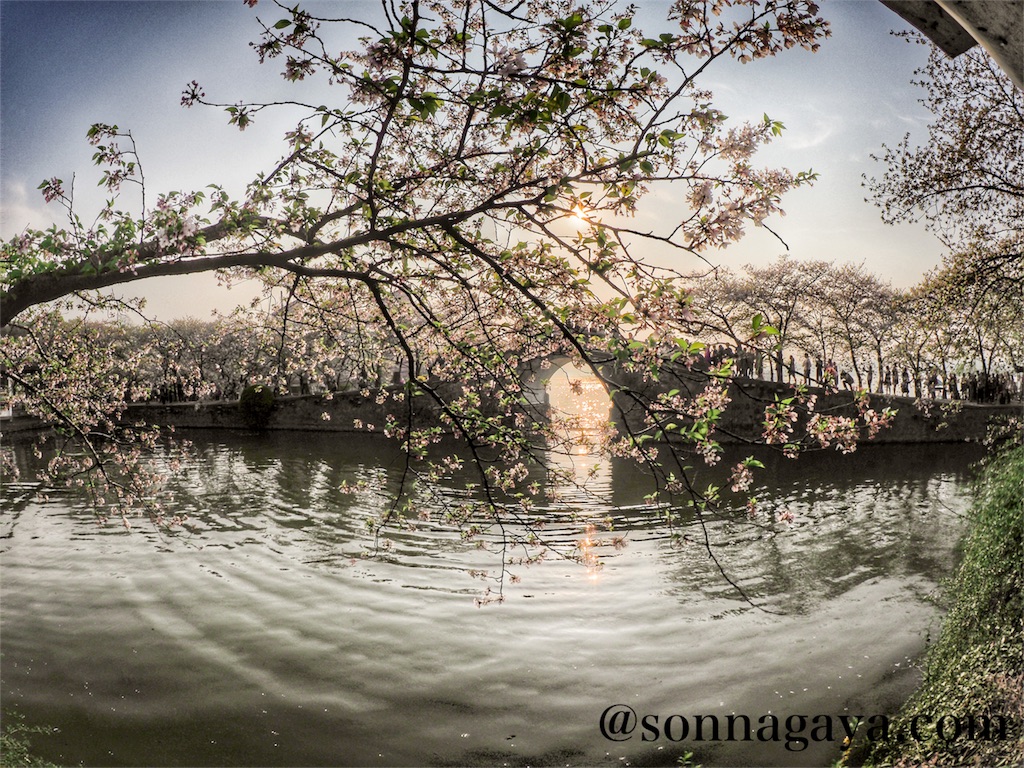 f:id:shan1tian2:20180403125652j:image