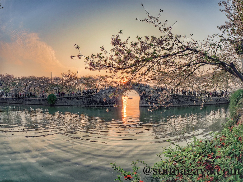 f:id:shan1tian2:20180403125726j:image