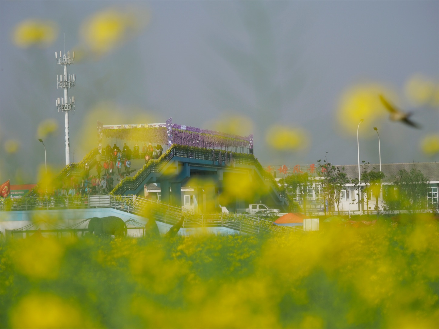 f:id:shan1tian2:20180418215609j:image
