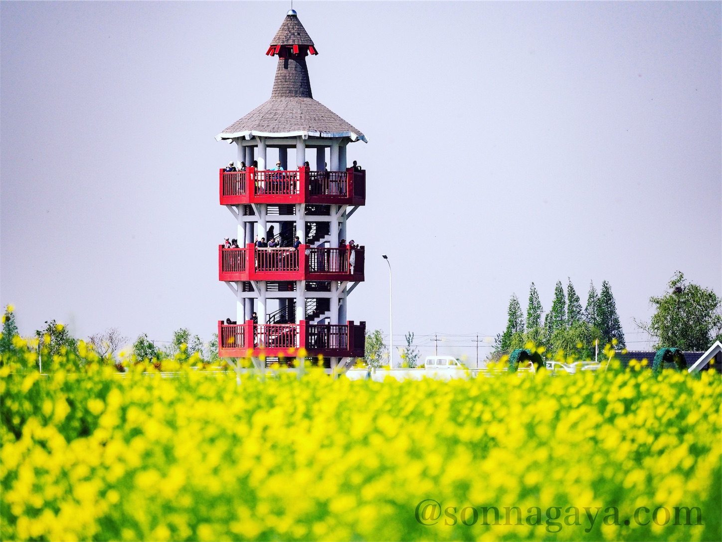 f:id:shan1tian2:20180418215919j:image
