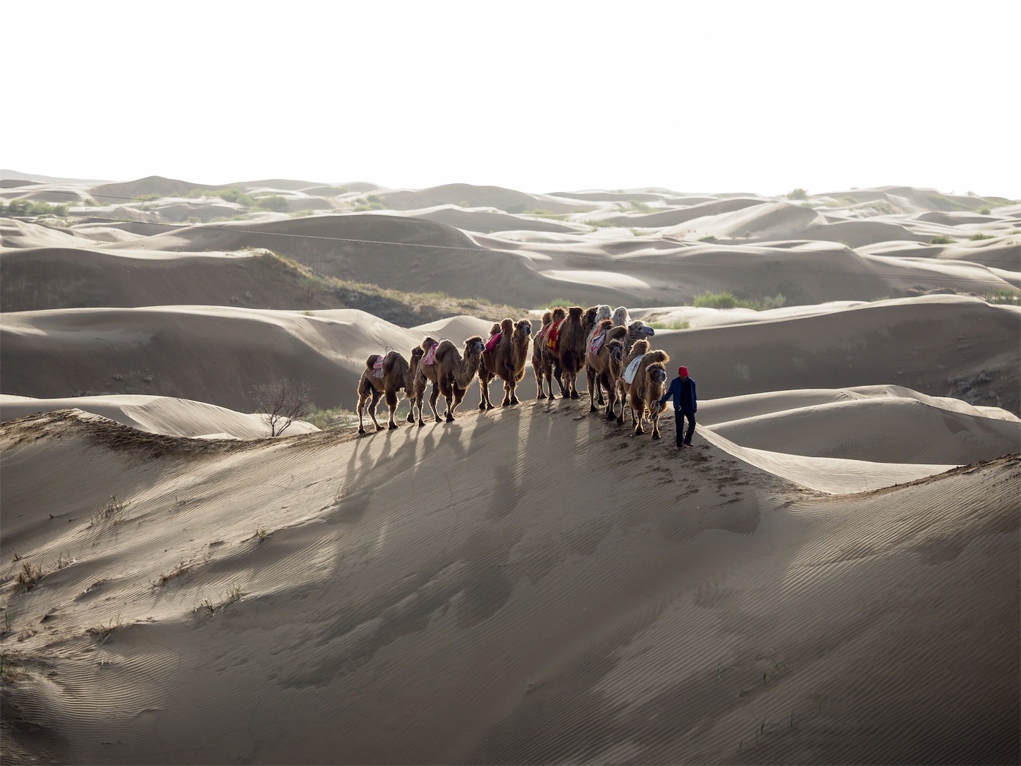 f:id:shan1tian2:20180516235011j:image