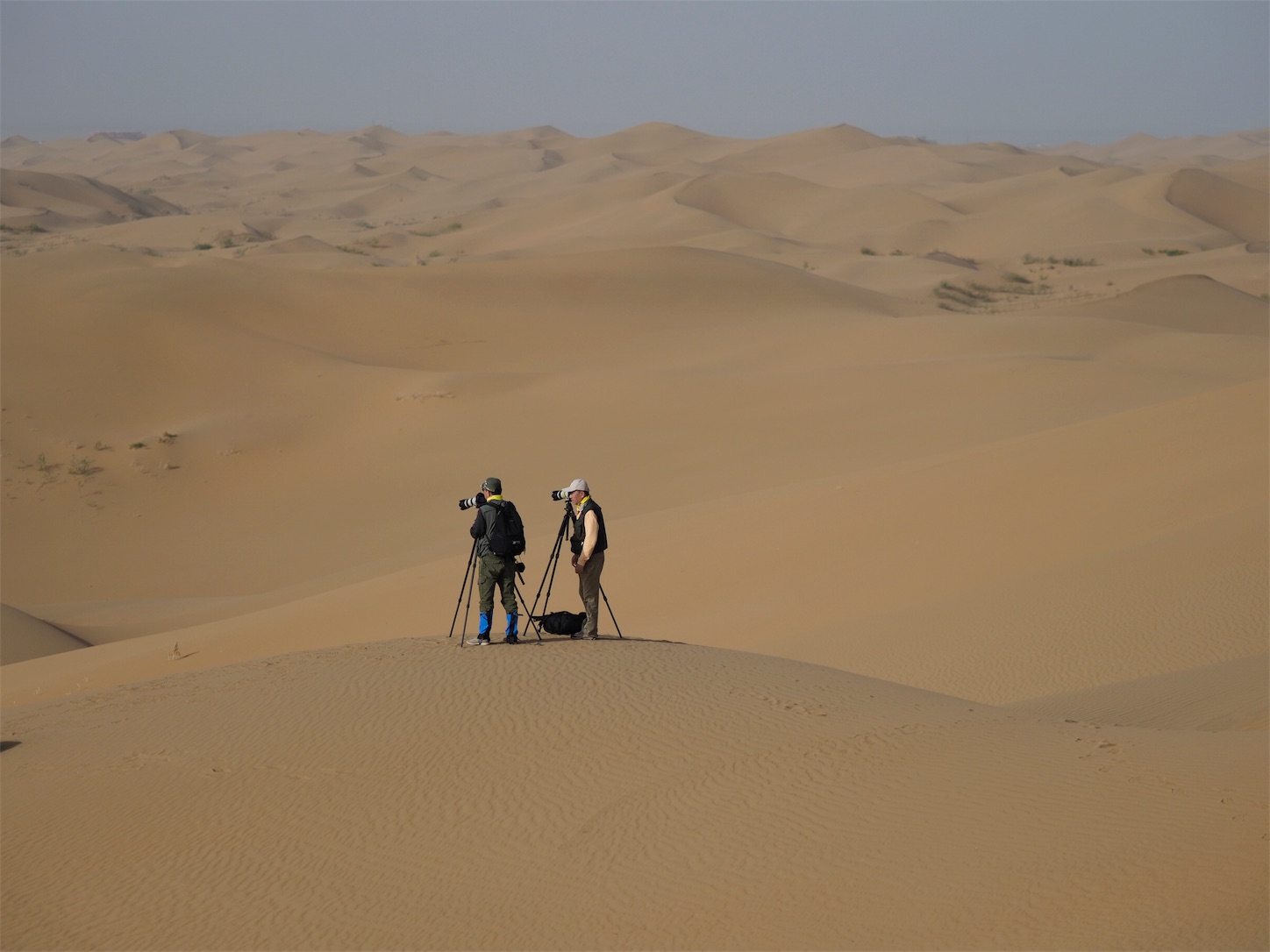 f:id:shan1tian2:20180521204819j:image