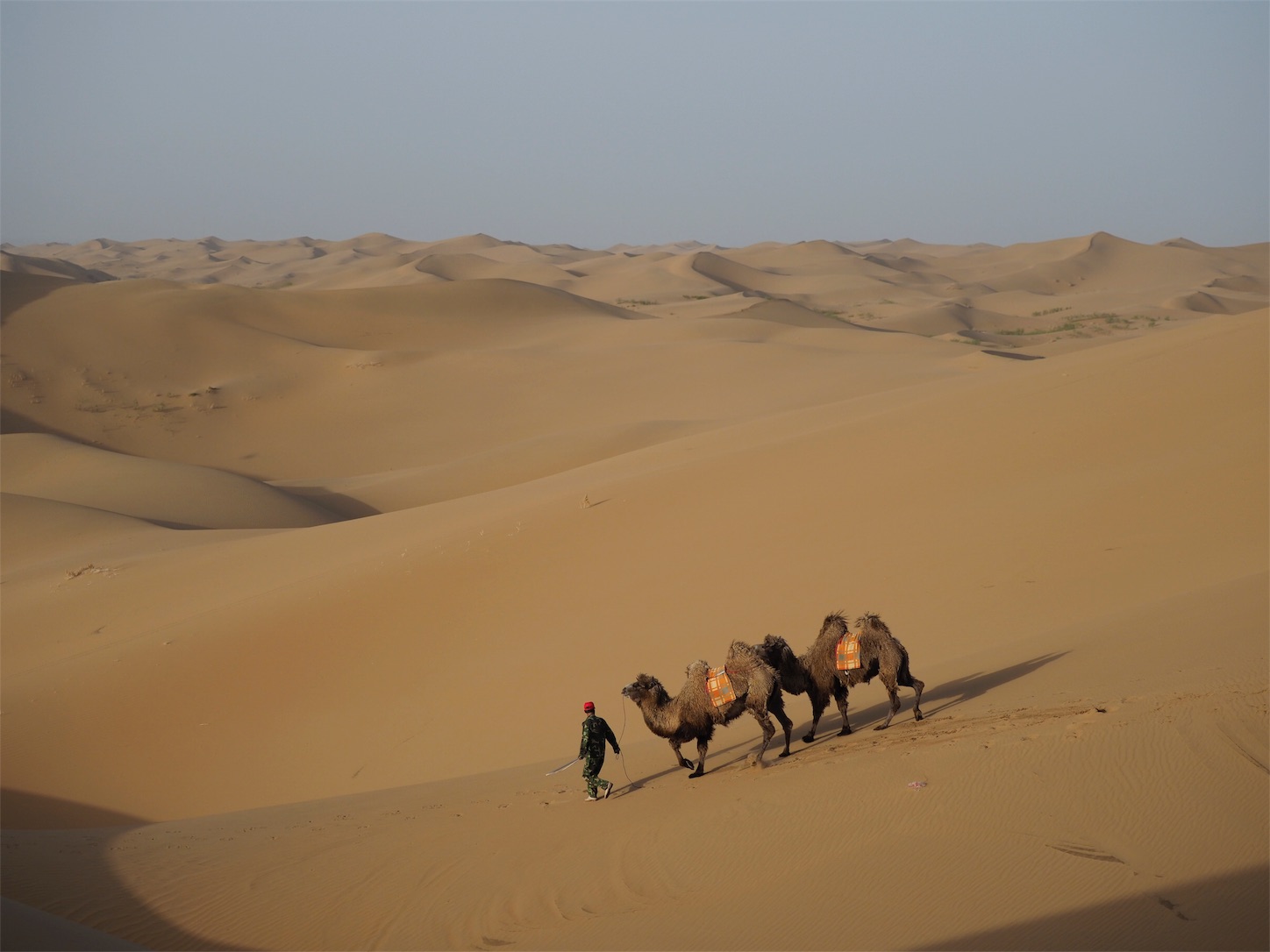 f:id:shan1tian2:20180523005451j:image