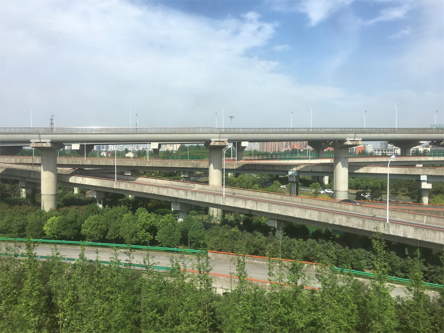 上海薰衣草節