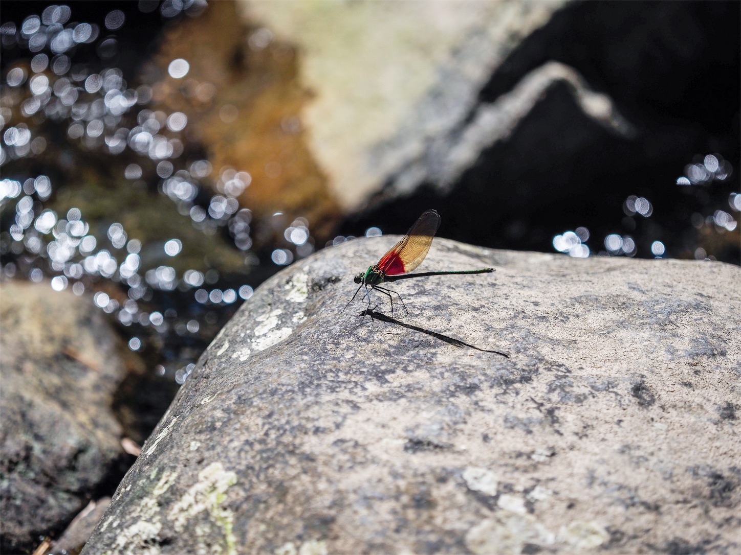 f:id:shan1tian2:20180625234257j:image