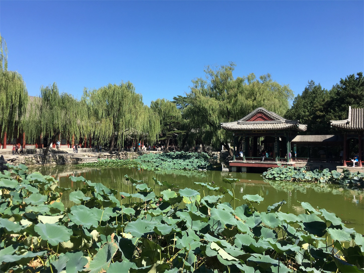 f:id:shan1tian2:20181010004834j:image