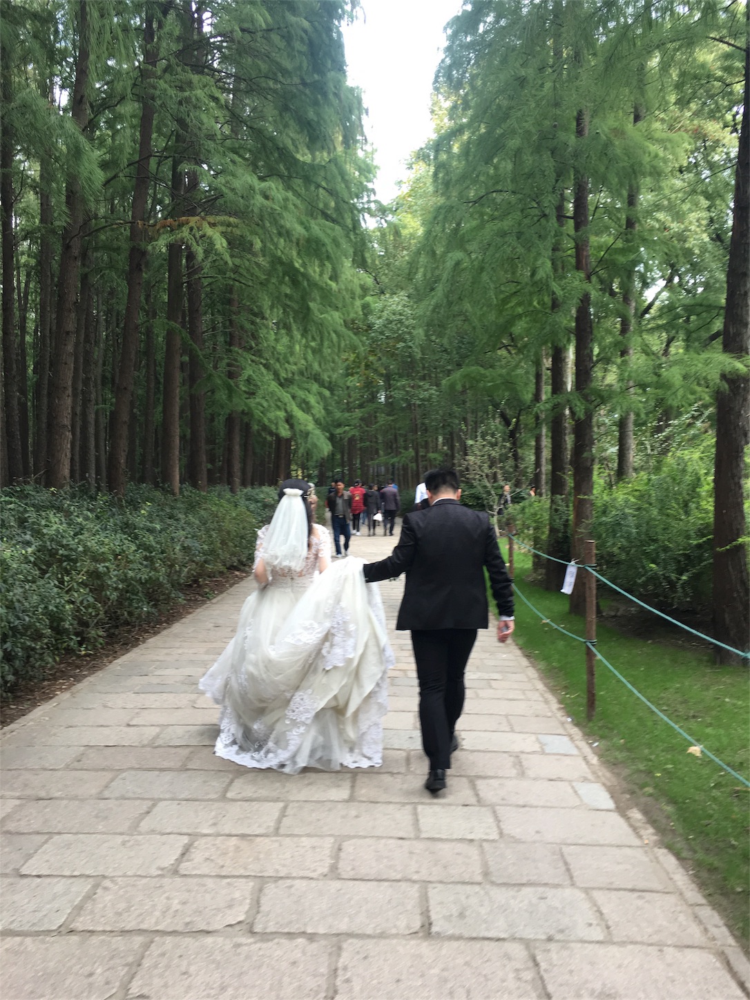 f:id:shan1tian2:20181023001450j:image