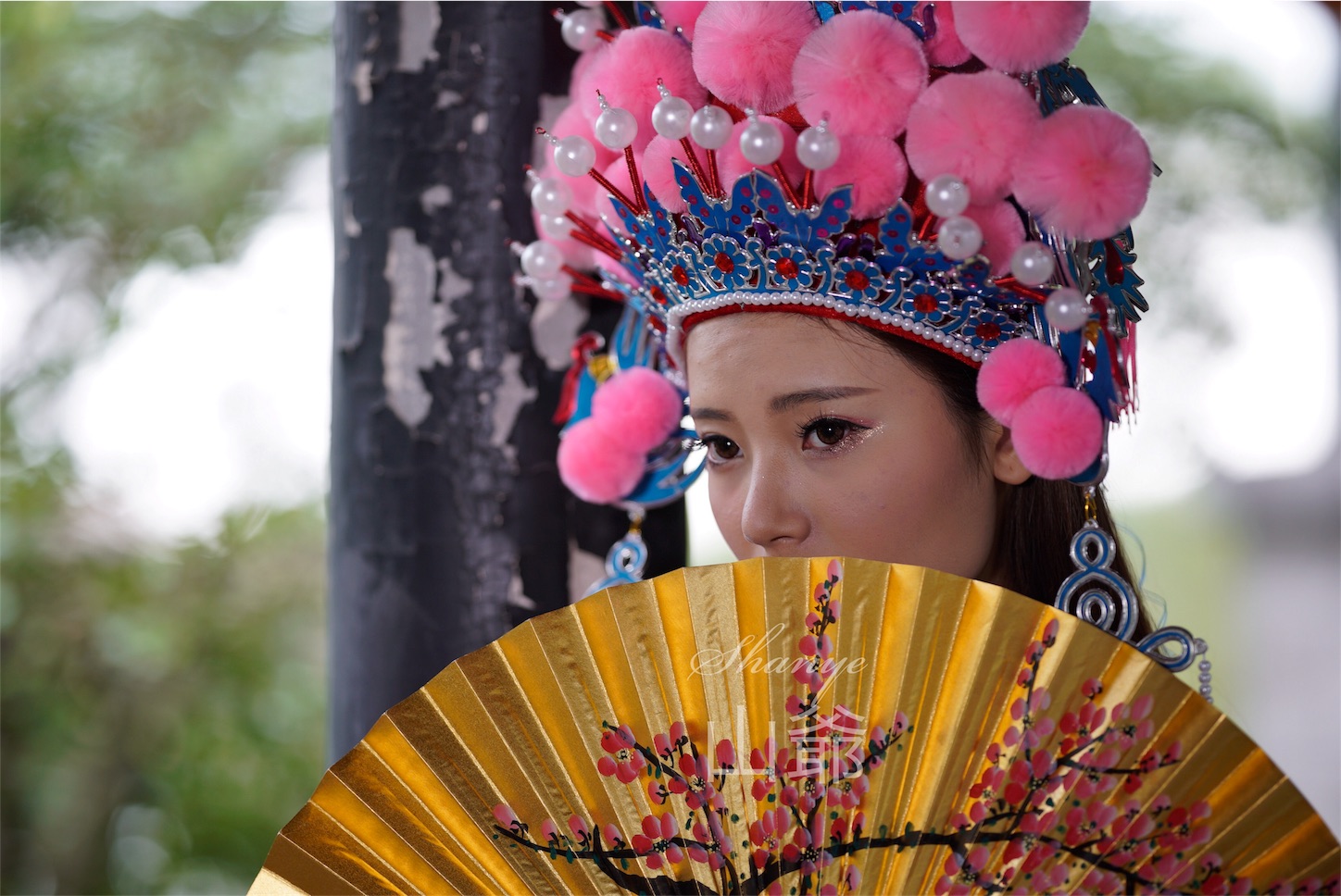 f:id:shan1tian2:20181109102026j:image f:id:shan1tian2:20181109102026j:image