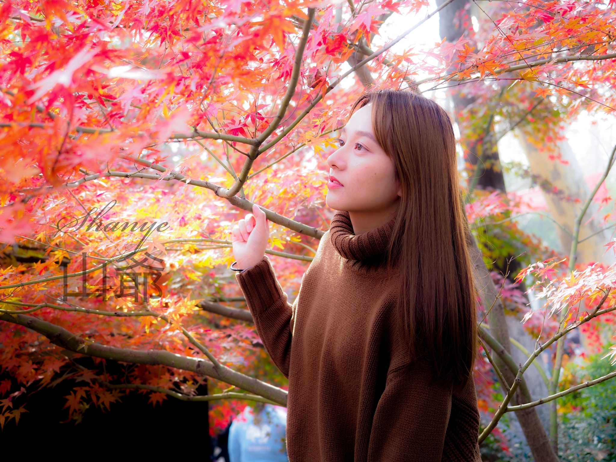 紅葉ポートレート