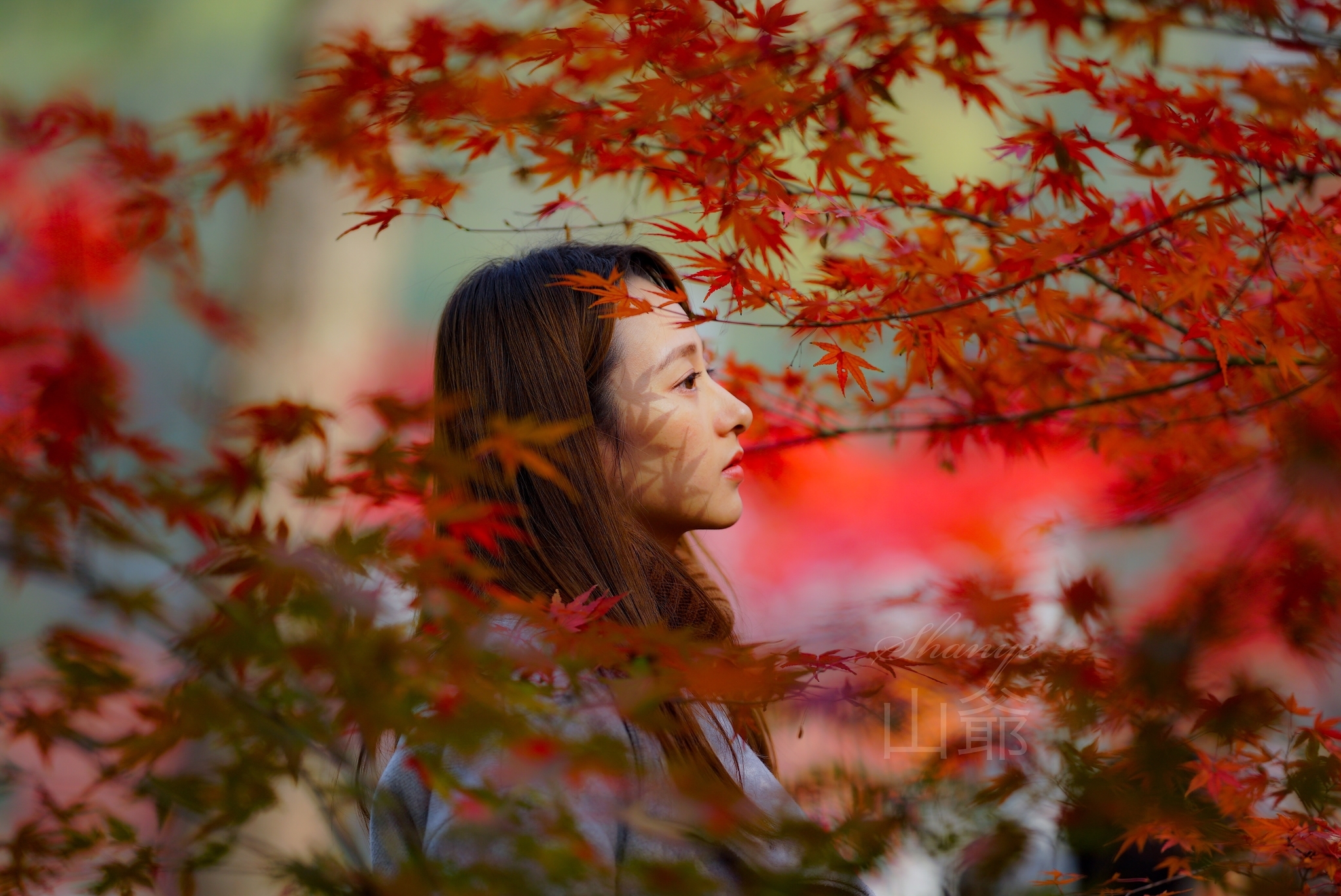 紅葉ポートレート