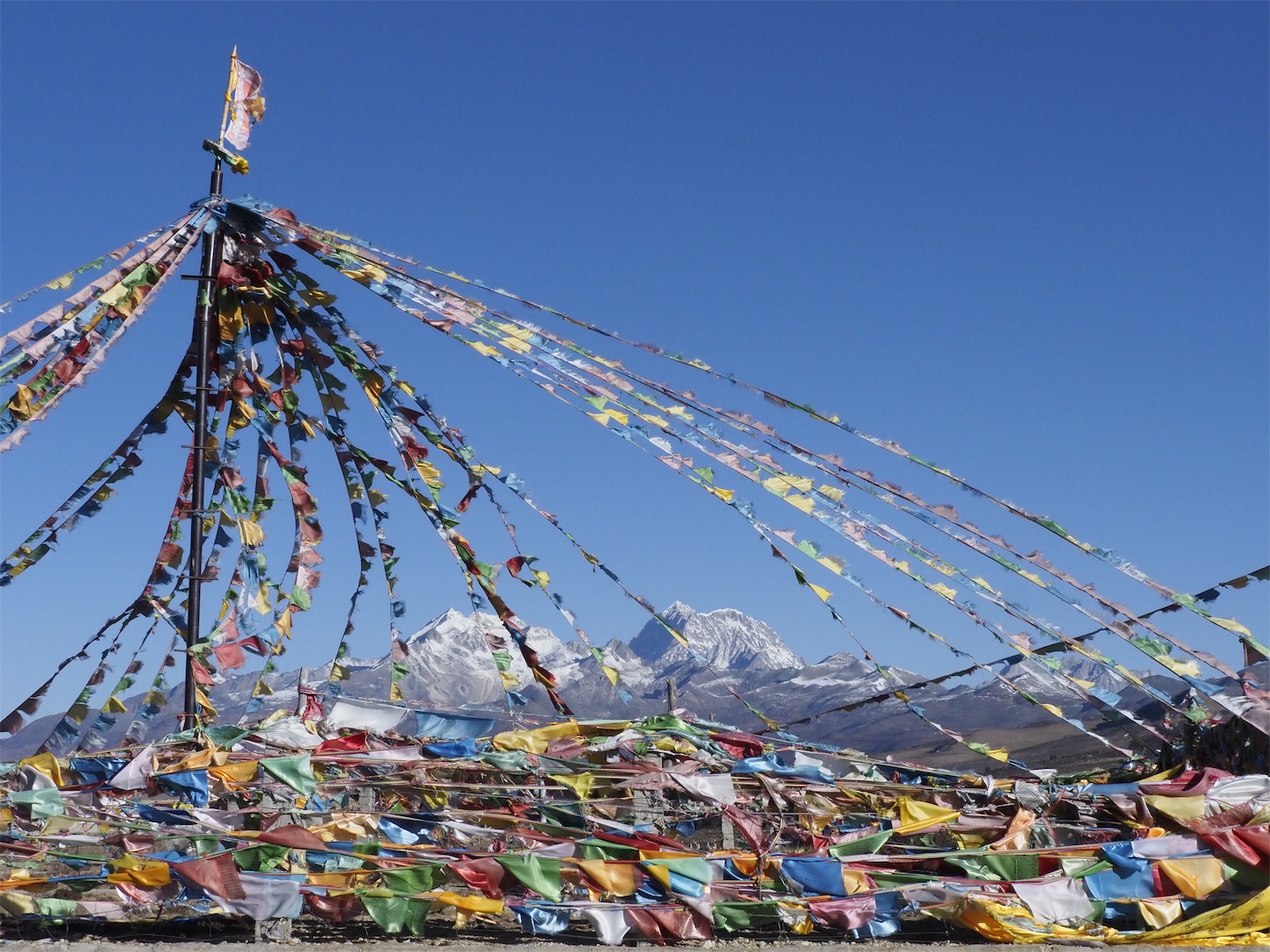 f:id:shan1tian2:20190106210404j:image