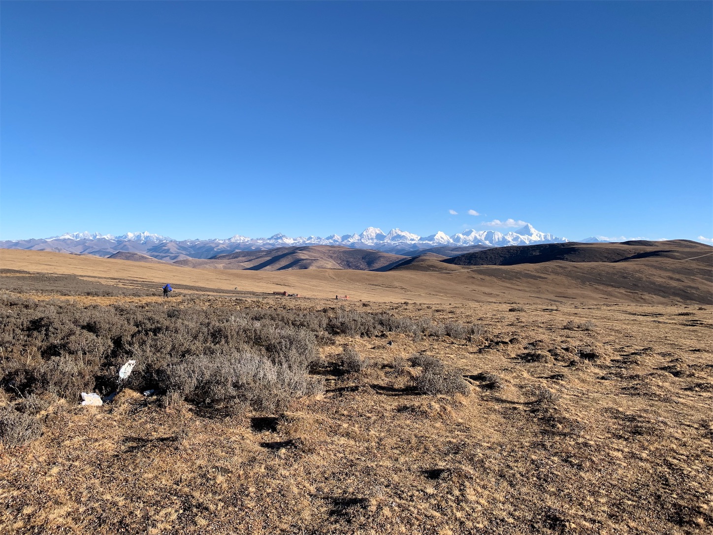 f:id:shan1tian2:20190109124600j:image f:id:shan1tian2:20190109124600j:image