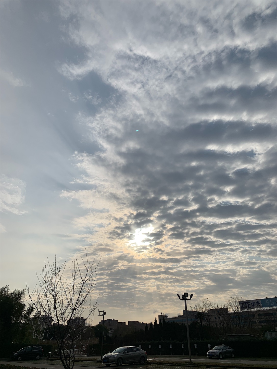 f:id:shan1tian2:20190218114959j:image