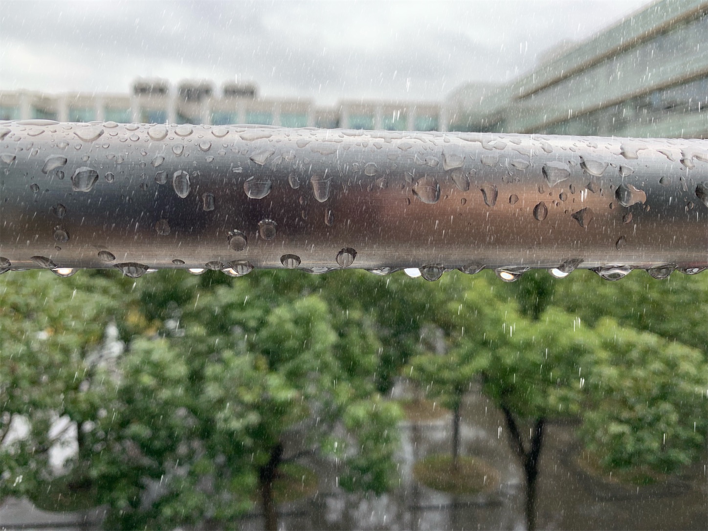 f:id:shan1tian2:20190218134159j:image