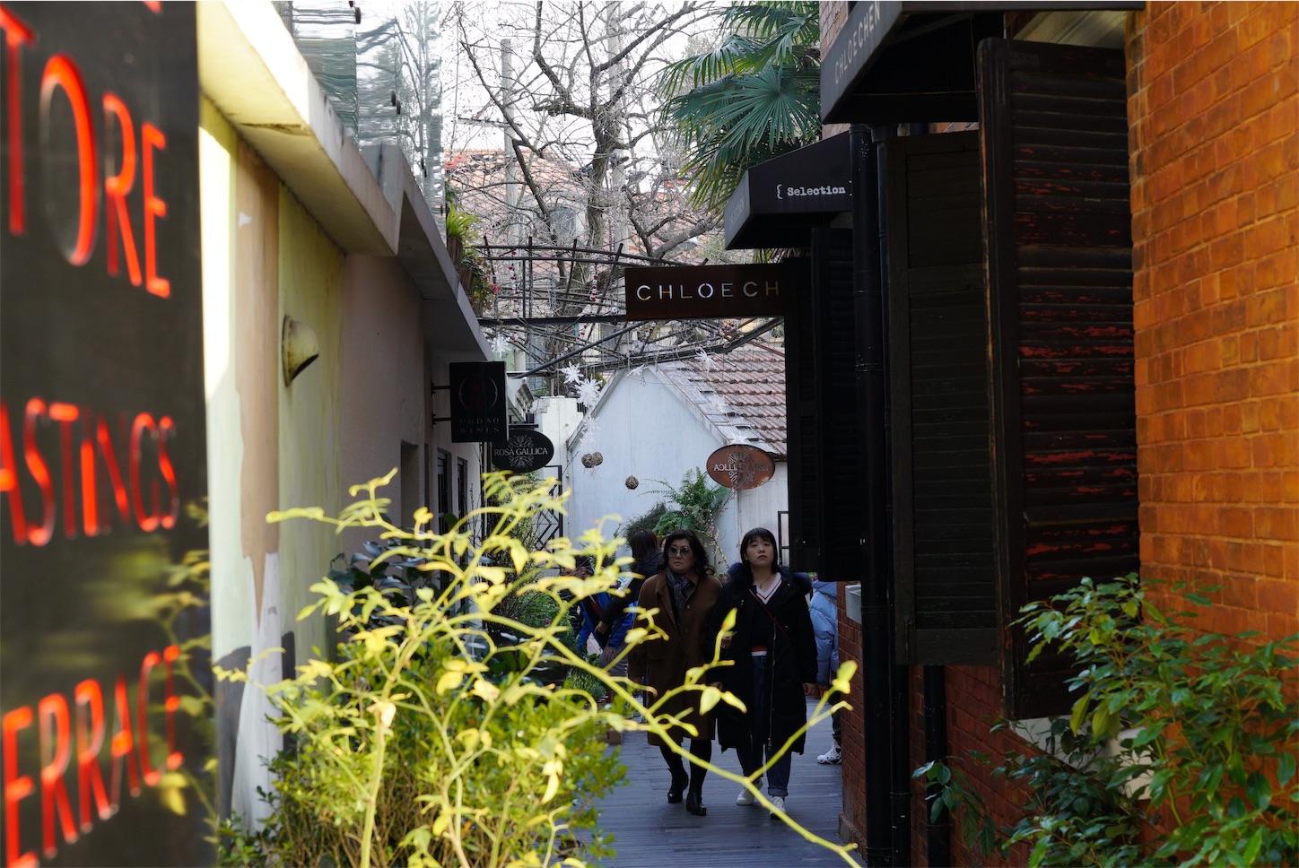 f:id:shan1tian2:20190227002337j:image f:id:shan1tian2:20190227002337j:image