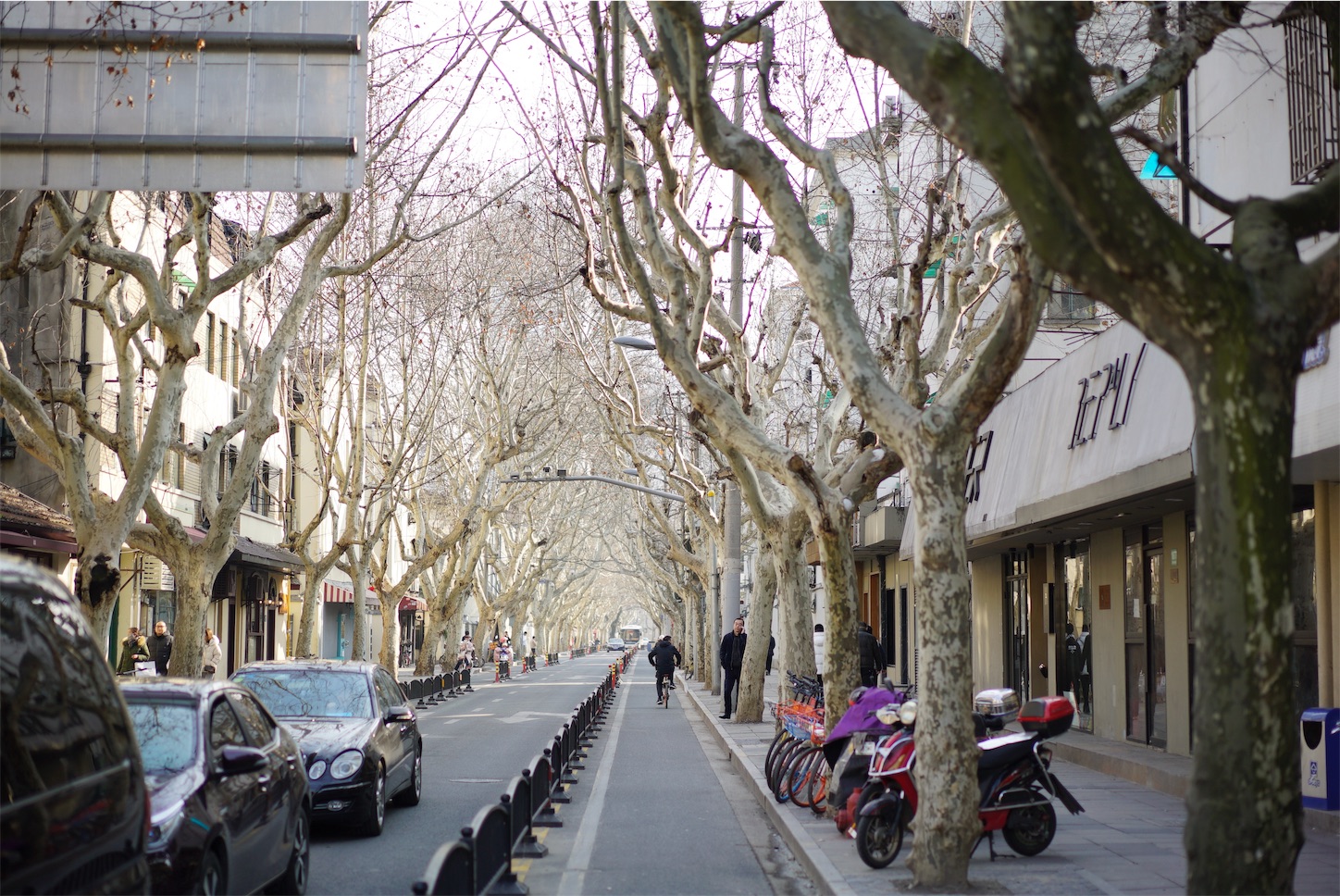 f:id:shan1tian2:20190227081543j:image f:id:shan1tian2:20190227081543j:image