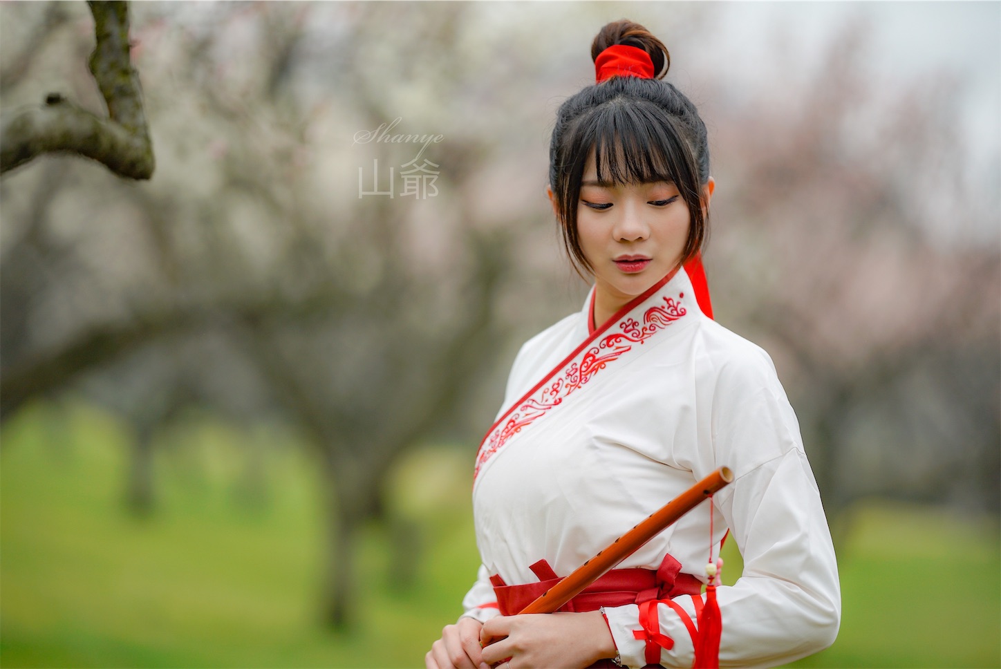 f:id:shan1tian2:20190304120005j:image