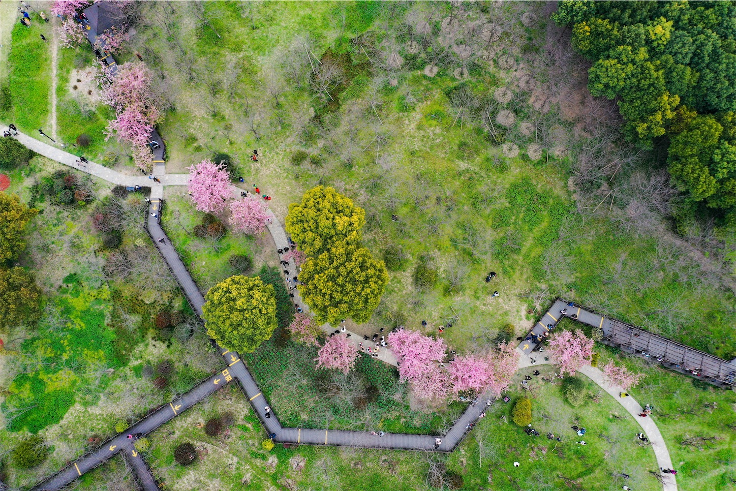 f:id:shan1tian2:20190318140353j:image
