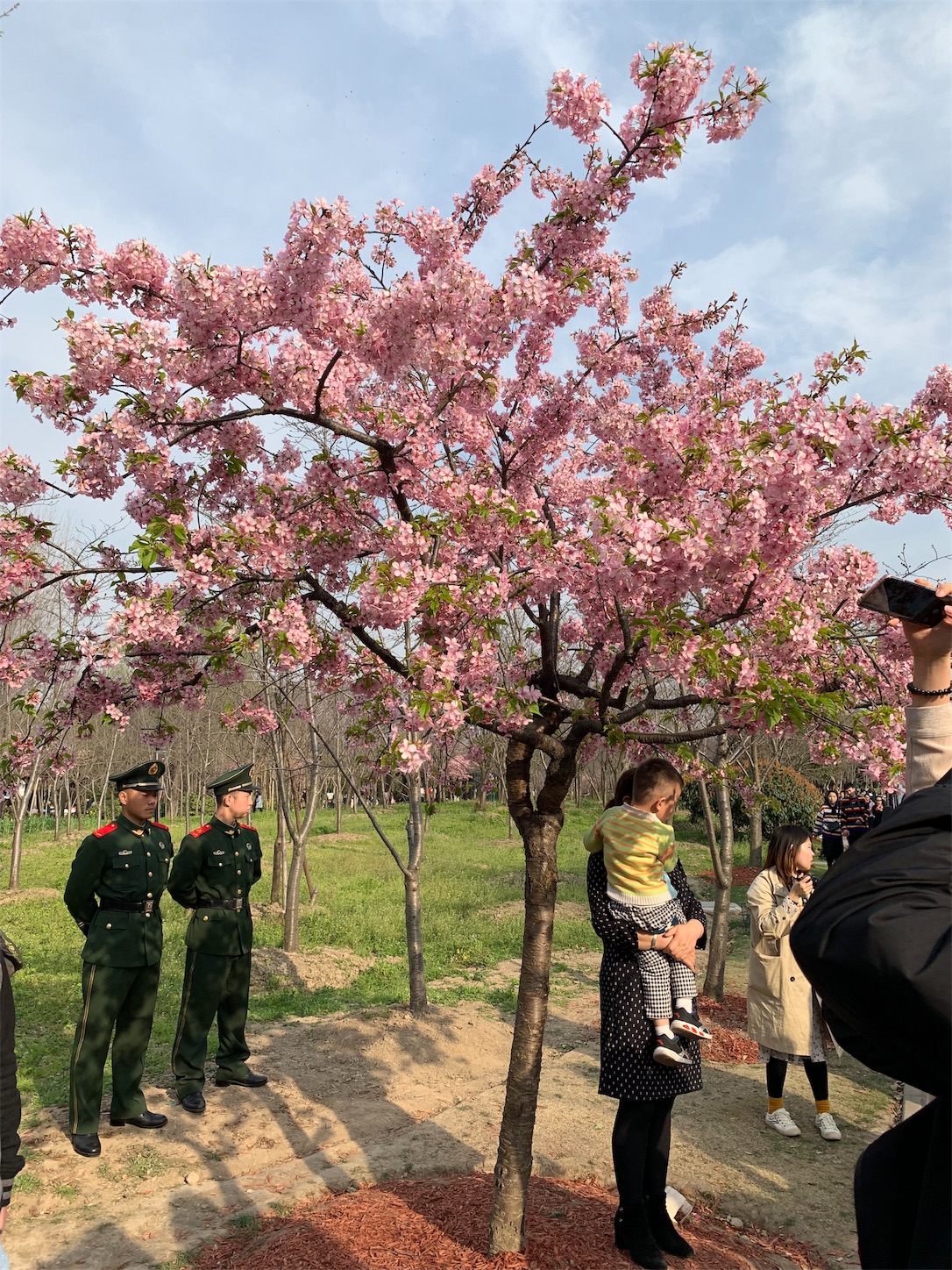 f:id:shan1tian2:20190318140613j:image