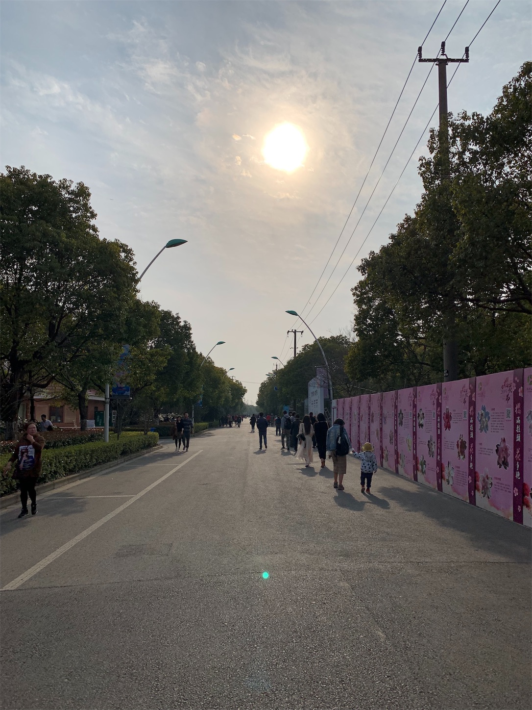 f:id:shan1tian2:20190318140637j:image