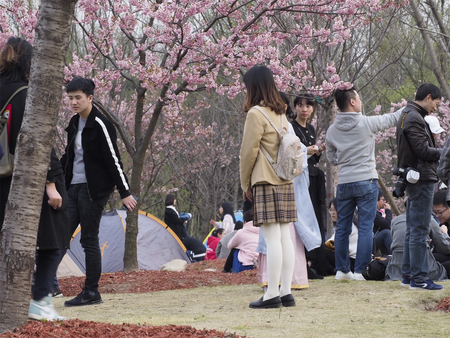 f:id:shan1tian2:20190319074534j:image