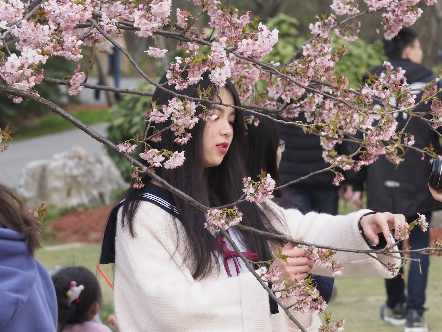 f:id:shan1tian2:20190319074545j:image