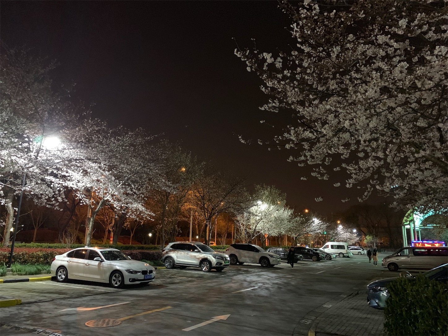 f:id:shan1tian2:20190328100256j:image