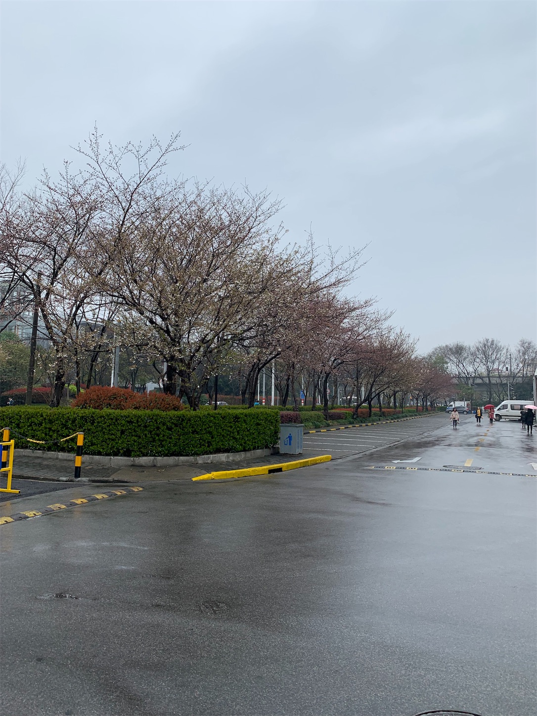 f:id:shan1tian2:20190328100301j:image