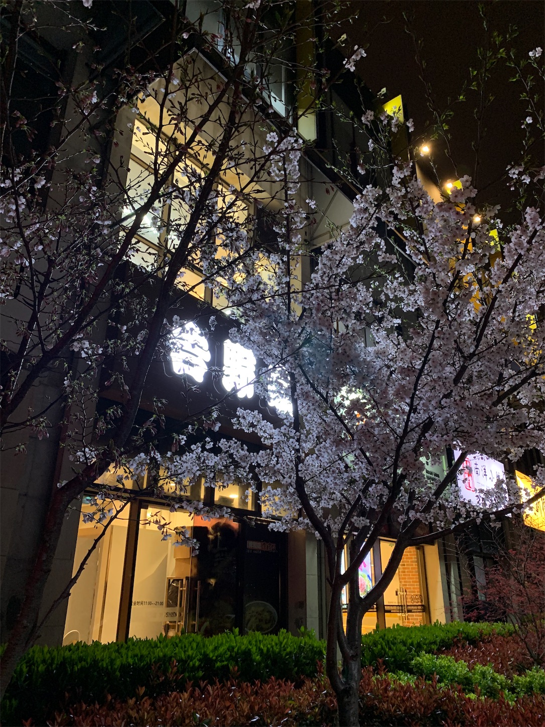 f:id:shan1tian2:20190329210722j:image