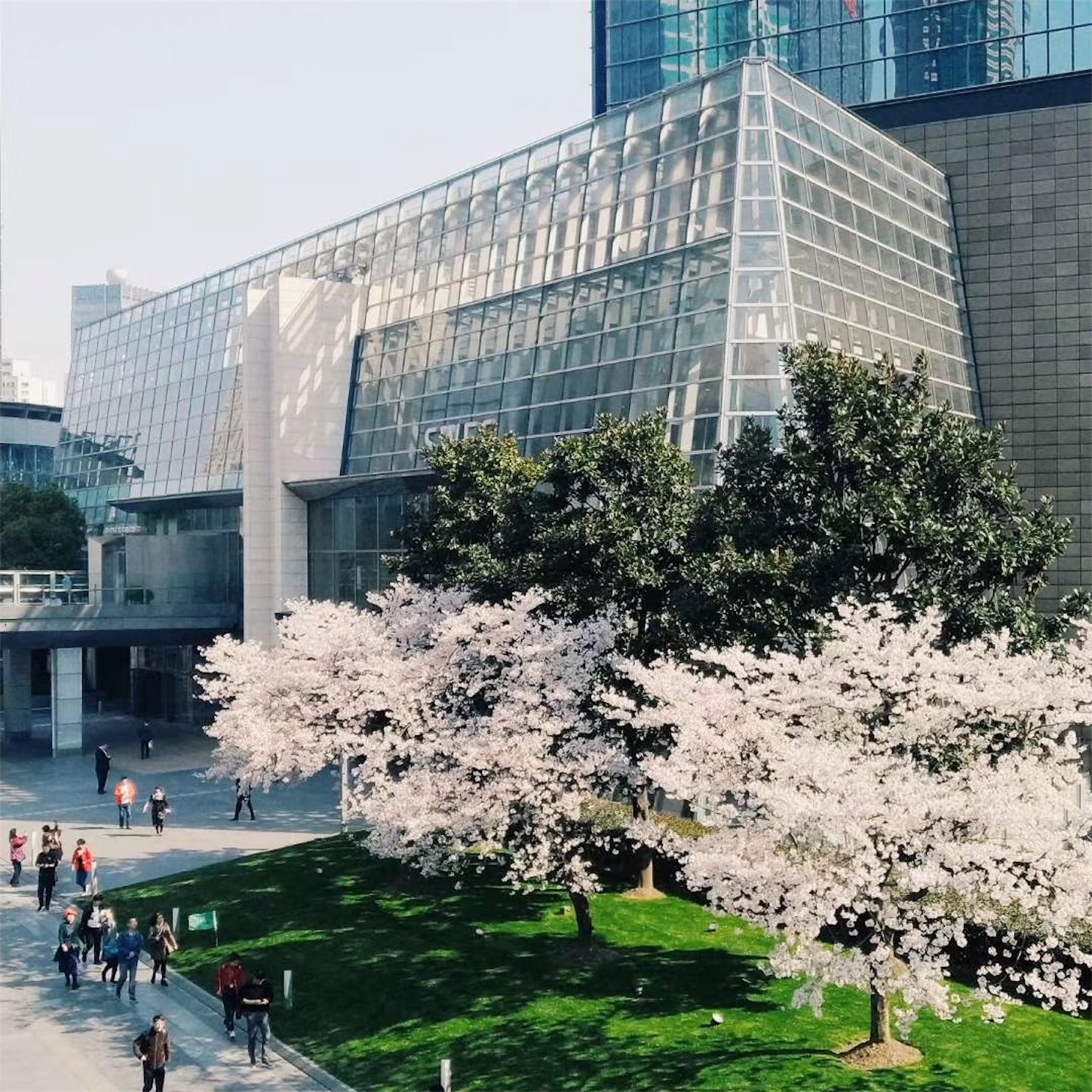 f:id:shan1tian2:20190401171847j:image