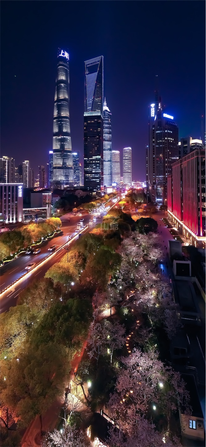 f:id:shan1tian2:20190401215950j:image