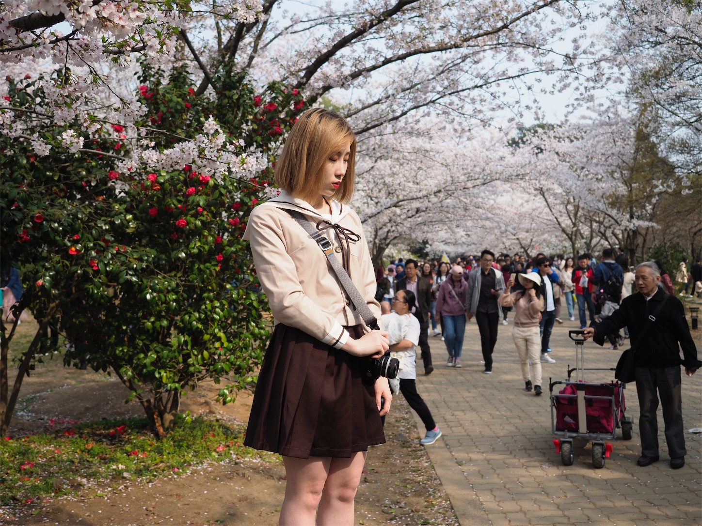 f:id:shan1tian2:20190402194614j:image f:id:shan1tian2:20190402194614j:image