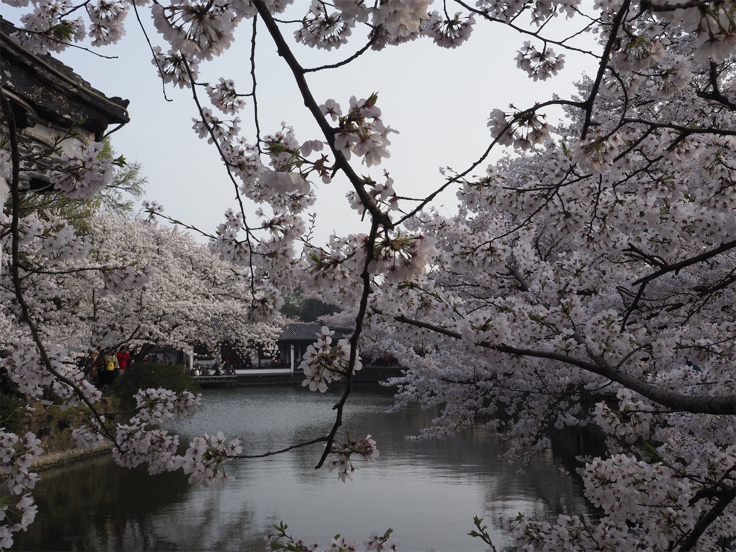 f:id:shan1tian2:20190402200507j:image f:id:shan1tian2:20190402200507j:image