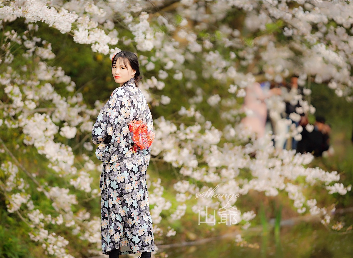 f:id:shan1tian2:20190402200606j:image f:id:shan1tian2:20190402200606j:image
