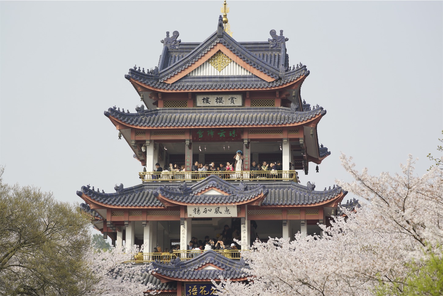 f:id:shan1tian2:20190402200942j:image f:id:shan1tian2:20190402200942j:image
