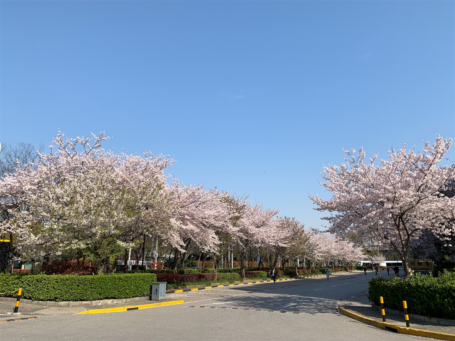 f:id:shan1tian2:20190404101512j:image