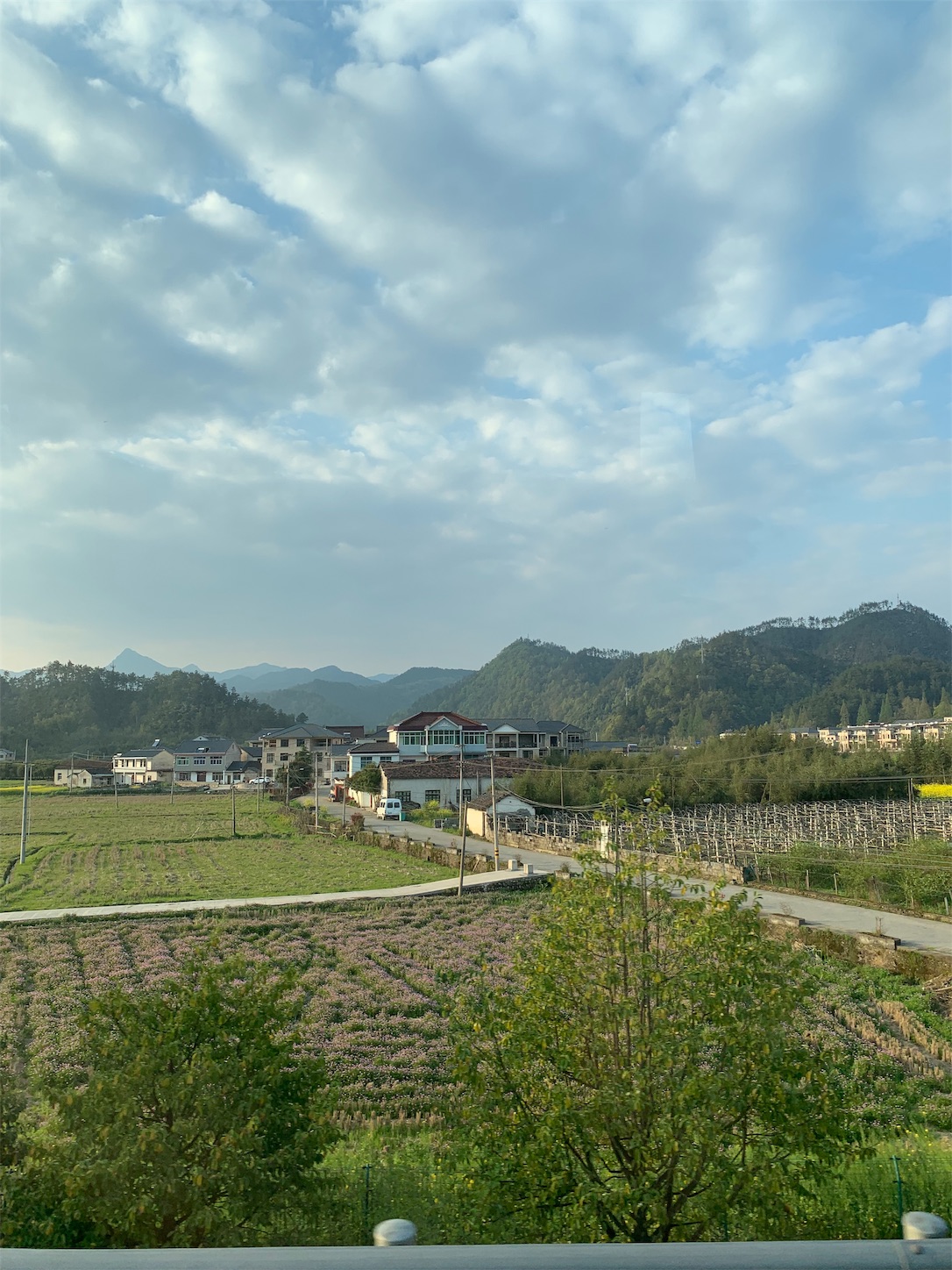 f:id:shan1tian2:20190408171223j:image