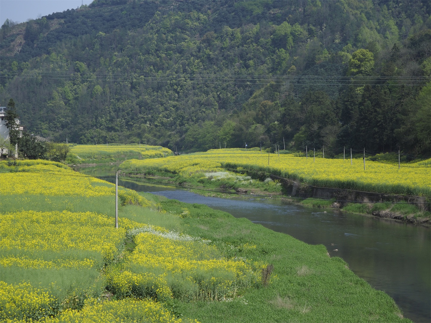 f:id:shan1tian2:20190411000431j:image