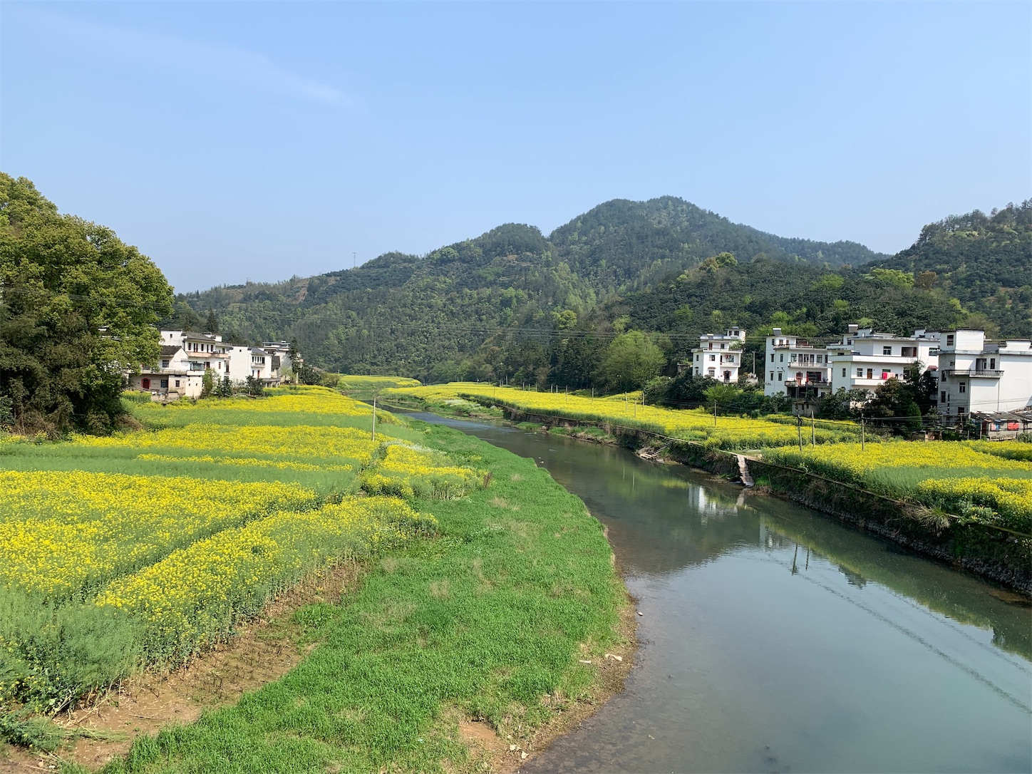f:id:shan1tian2:20190411000500j:image