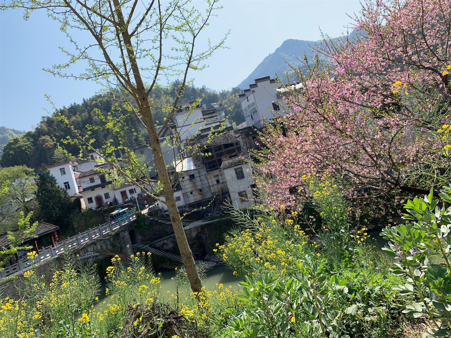 f:id:shan1tian2:20190415172349j:image f:id:shan1tian2:20190415172349j:image