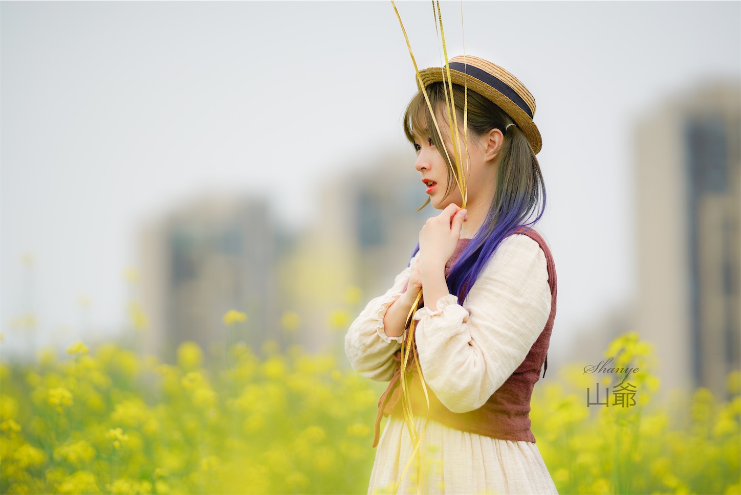 f:id:shan1tian2:20190417123903j:image