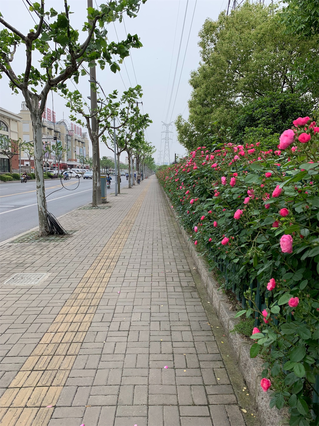 f:id:shan1tian2:20190505210546j:image