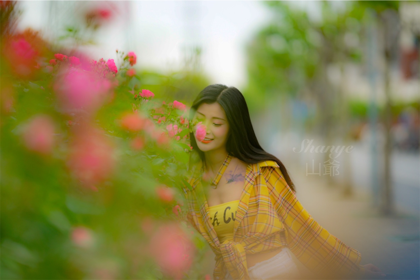 f:id:shan1tian2:20190505220312j:image