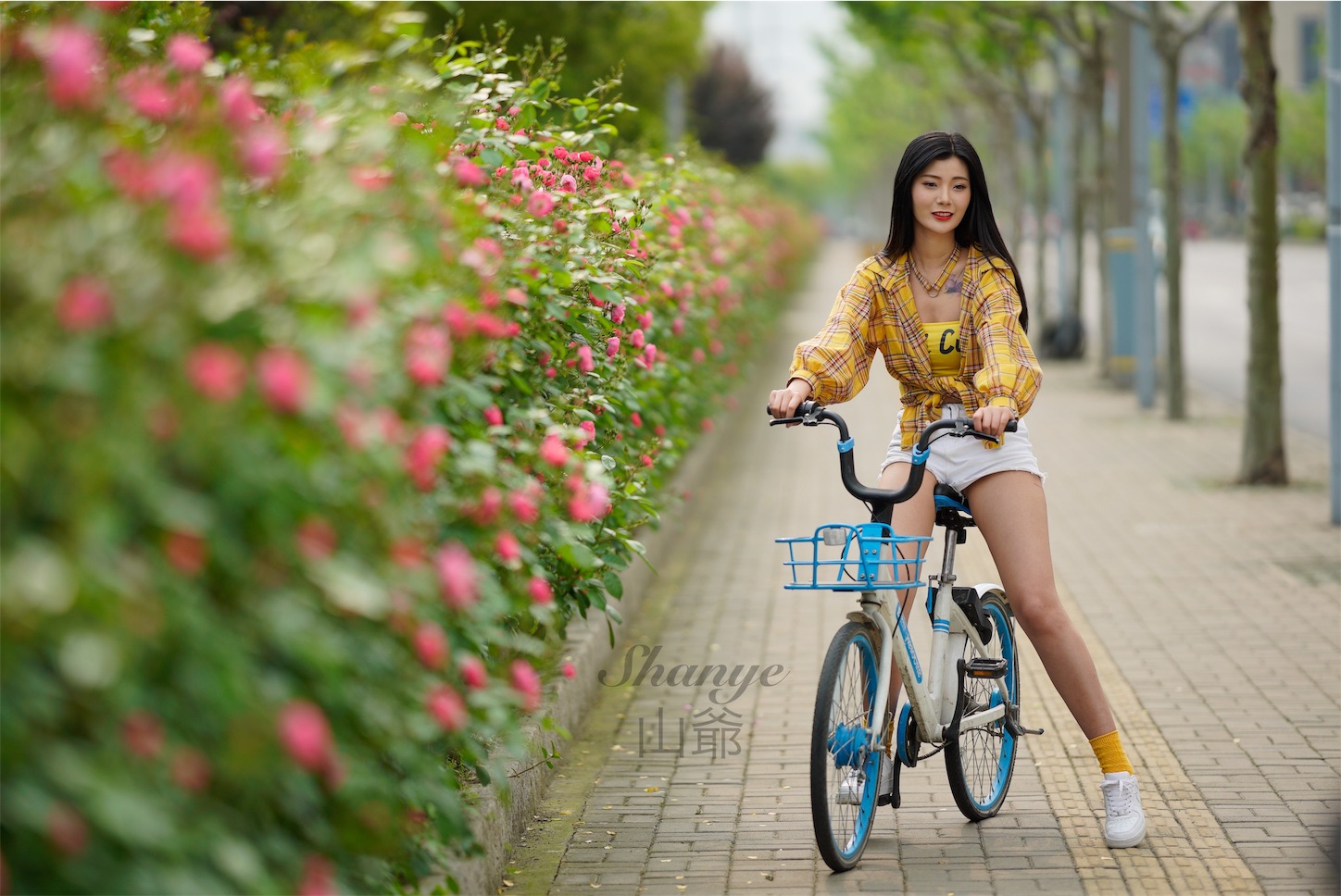 f:id:shan1tian2:20190505220721j:image