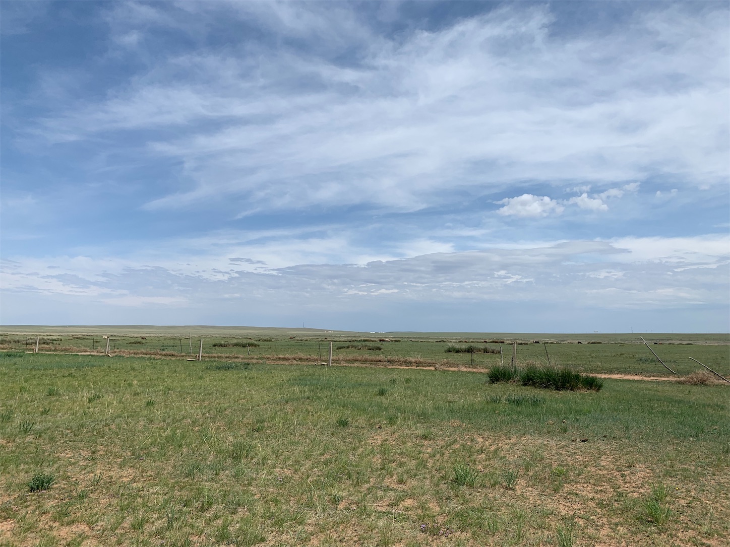 f:id:shan1tian2:20190710151223j:image