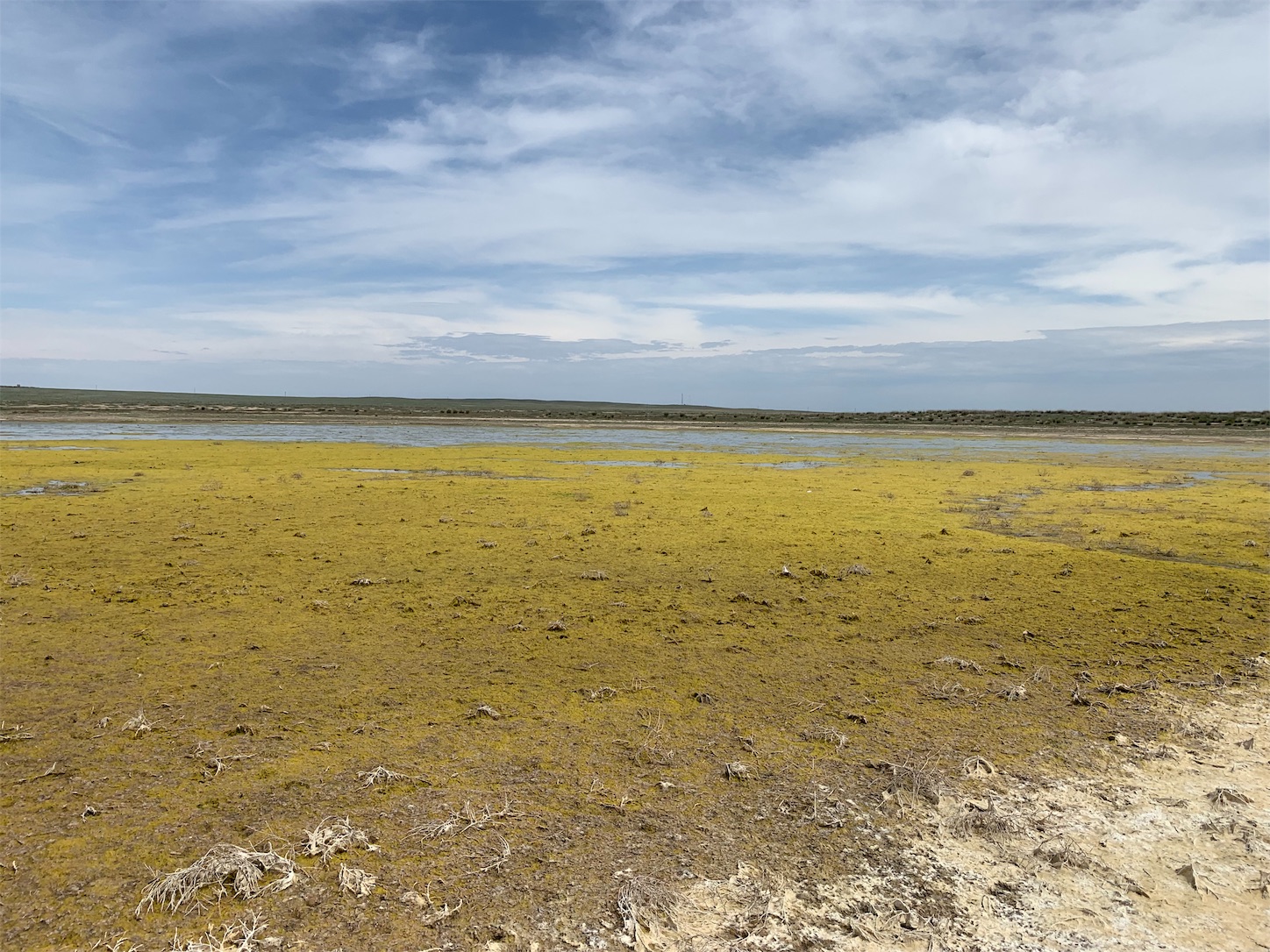 f:id:shan1tian2:20190710151513j:image